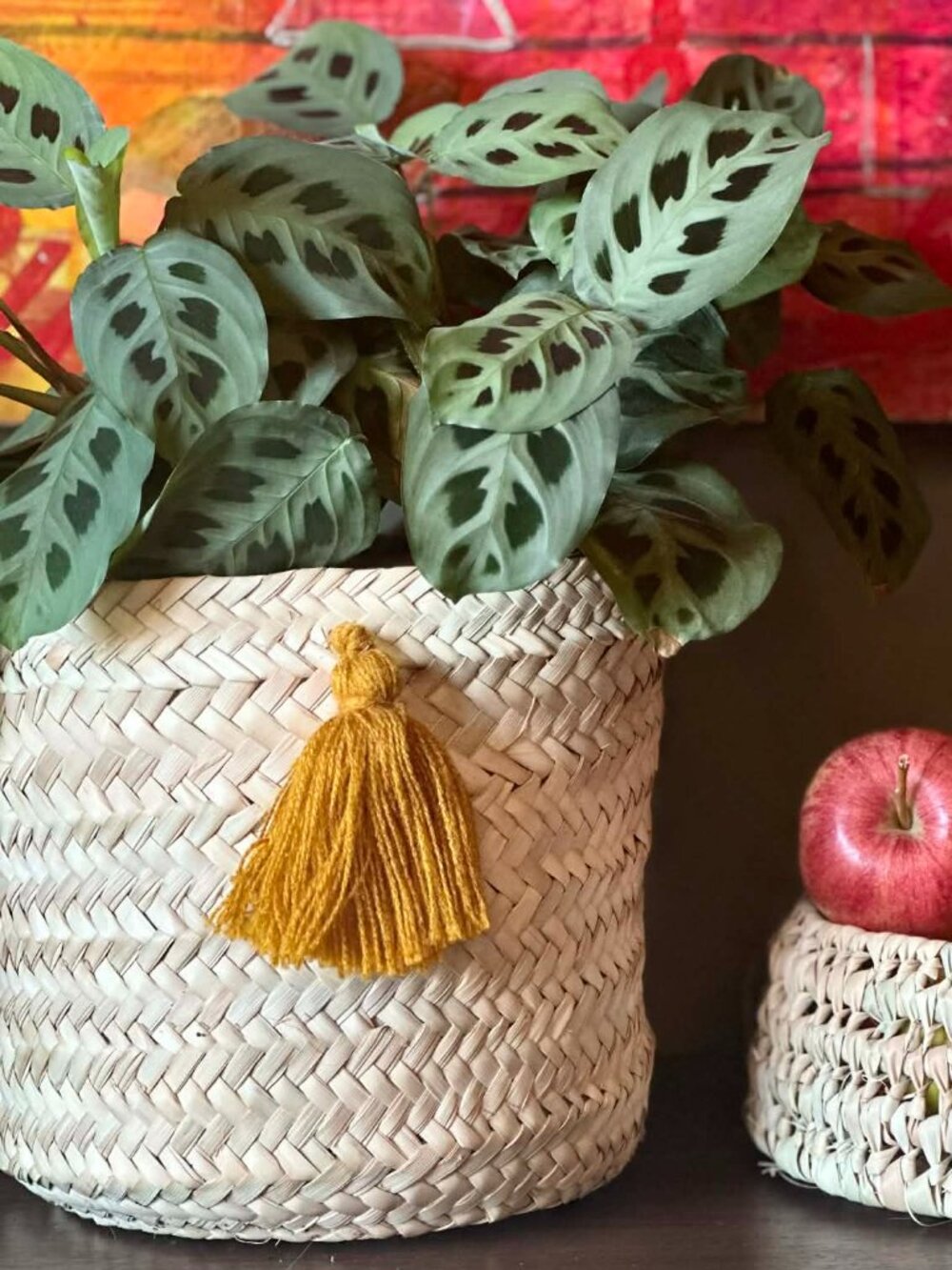 NEW Handmade plant pot cover made of straw with tassel,   basket plant pot cover
